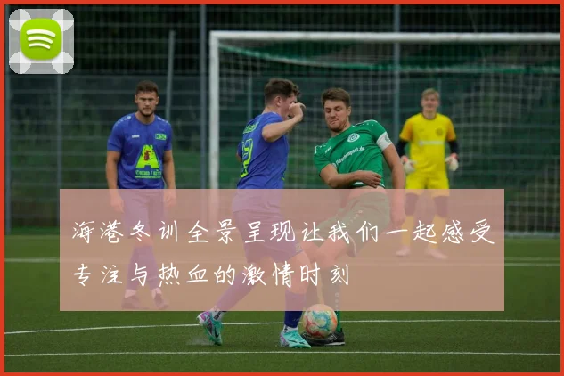 海港冬训全景呈现让我们一起感受专注与热血的激情时刻