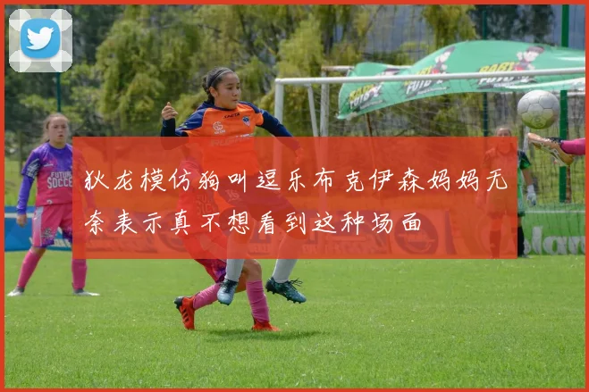 狄龙模仿狗叫逗乐布克伊森妈妈无奈表示真不想看到这种场面